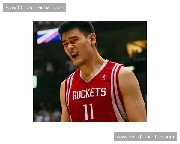 巨塔对决：加索尔与姚明的传奇交锋，篮球史上的经典篇章